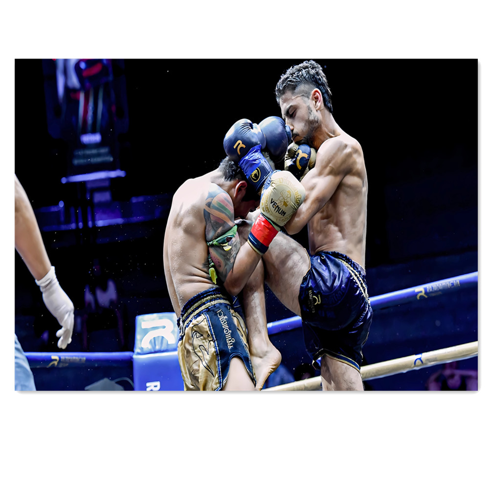Home Gym Wallpaper - Fun Boxing Canvas Painting, Martial Arts