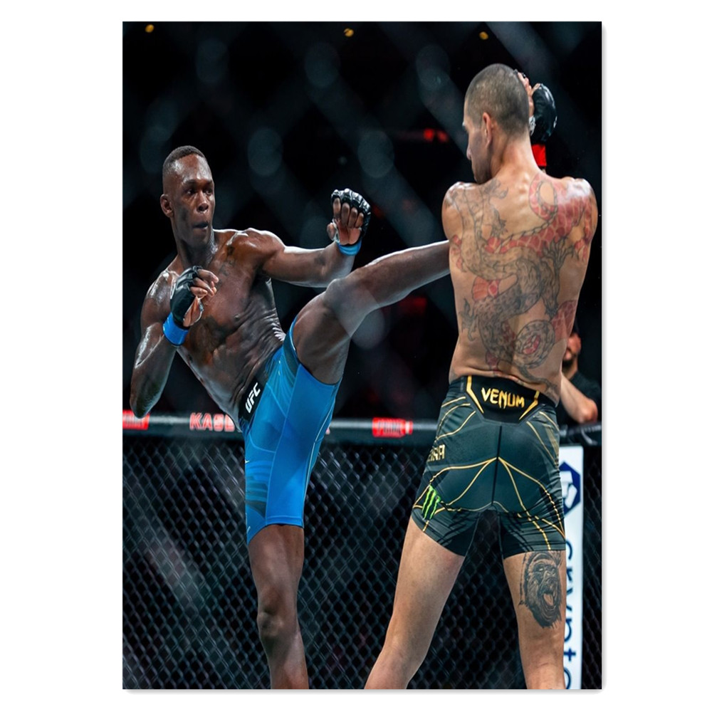Boxing Bodybuilder Canvas Pain - Home Gym Wallpaper review and price