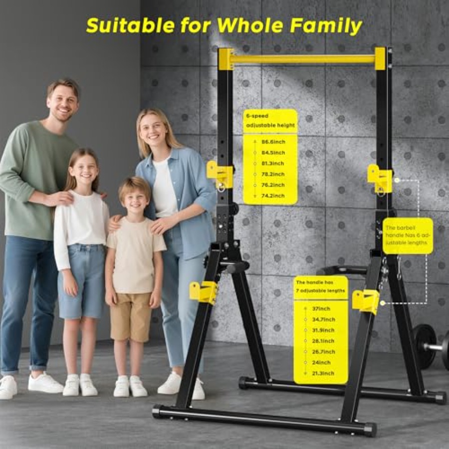 Home gym dip station pull-up b - Home Gym Design review and price