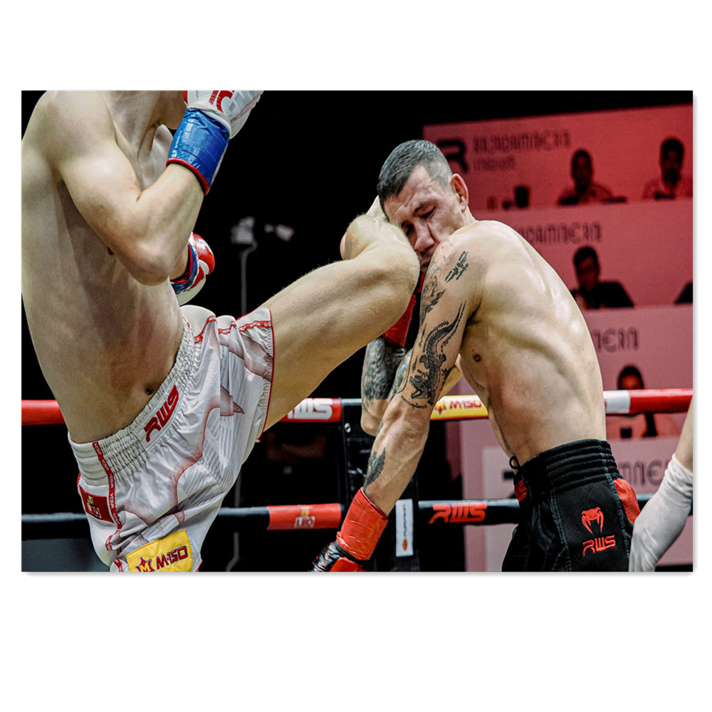 Muay Thai Stadium Canvas Paint - Home Gym Wallpaper review and price