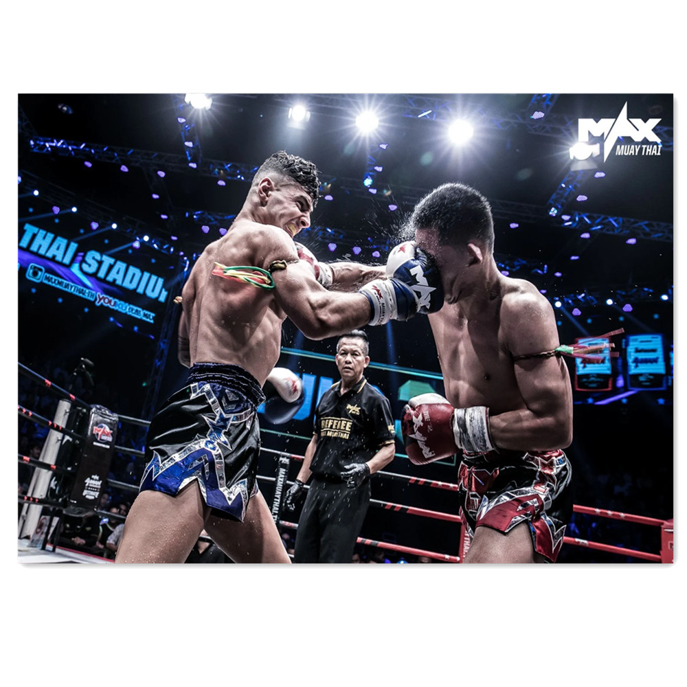 Watercolor Boxing Canvas Paint - Home Gym Wallpaper review and price