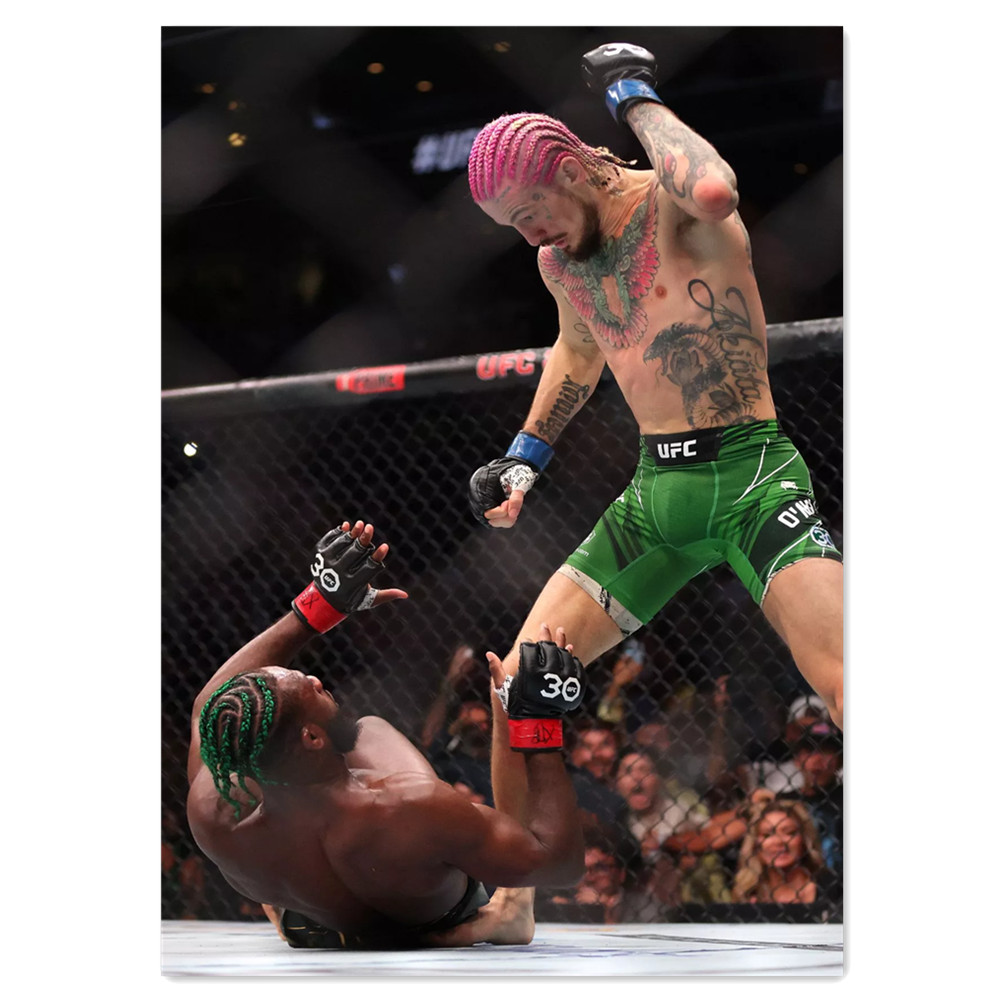 Boxing Canvas Painting Wall Ar - Home Gym Wallpaper review and price