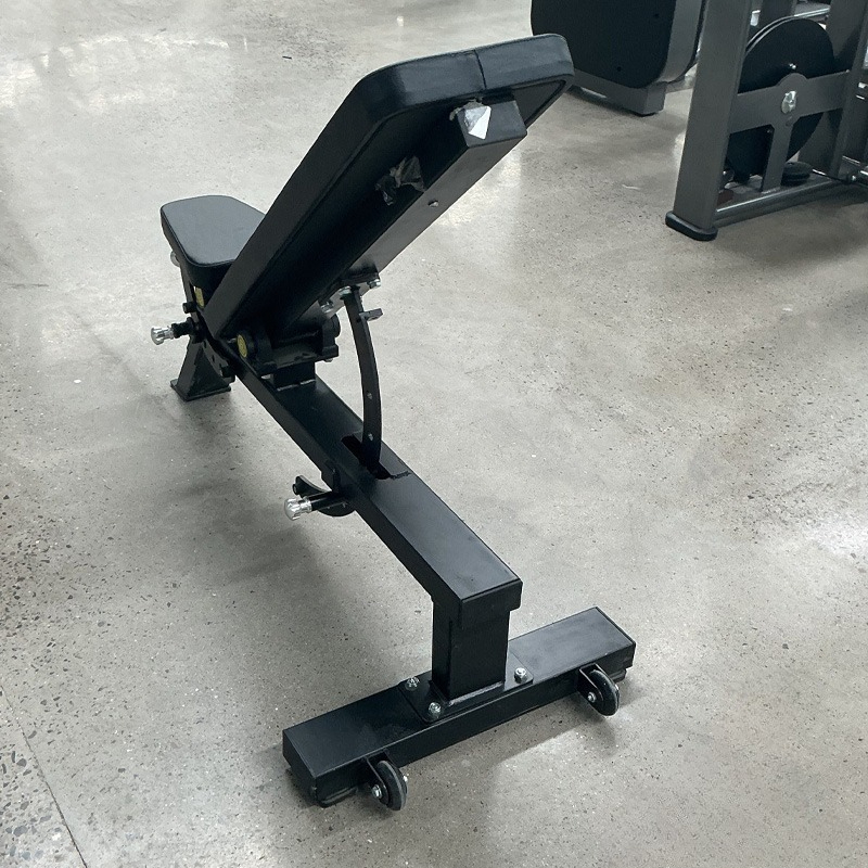 Adjustable Home Gym Dumbbell B - Home Gym Design review and price